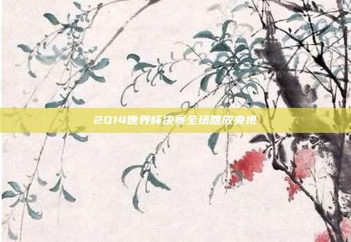 2014世界杯决赛全场回放央视