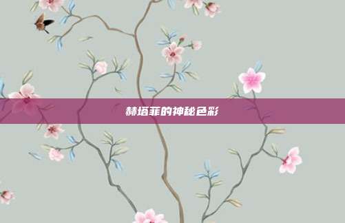 赫塔菲的神秘色彩
