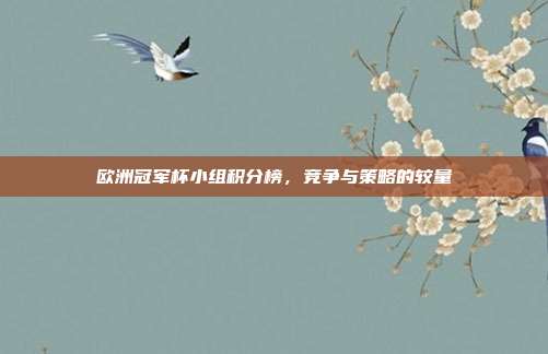欧洲冠军杯小组积分榜,竞争与策略的较量