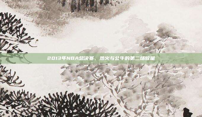 2013年NBA总决赛，热火与公牛的第二场较量