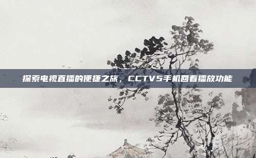 探索电视直播的便捷之旅，CCTV5手机回看播放功能