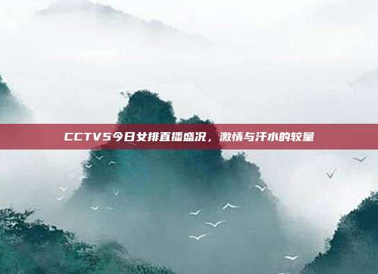 CCTV5今日女排直播盛况，激情与汗水的较量
