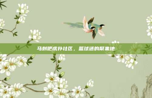 马刺吧虎扑社区，篮球迷的聚集地