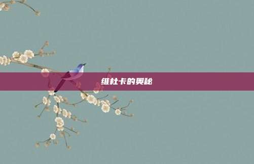 维杜卡的奥秘