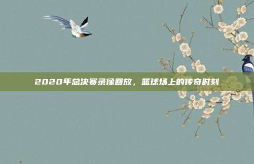 2020年总决赛录像回放，篮球场上的传奇时刻