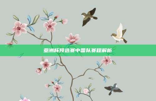 亚洲杯预选赛中国队赛程解析