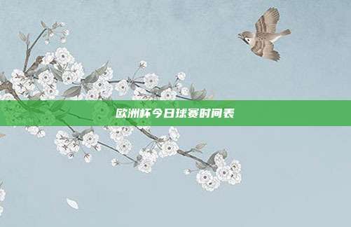 欧洲杯今日球赛时间表