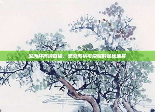 欧洲杯高清直播，感受激情与荣耀的足球盛宴