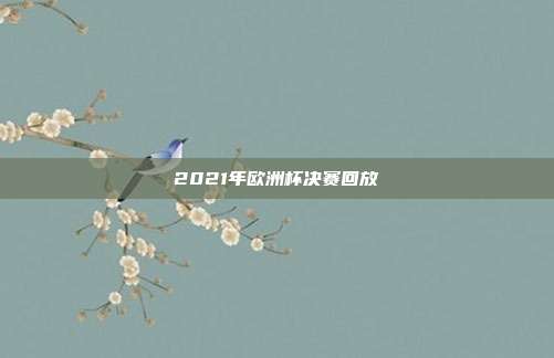 2021年欧洲杯决赛回放