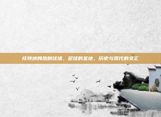 托特纳姆热刺球场，足球的圣地，历史与现代的交汇