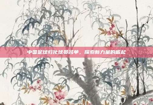中国足球归化球员名单，探索新力量的崛起