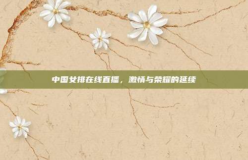 中国女排在线直播，激情与荣耀的延续