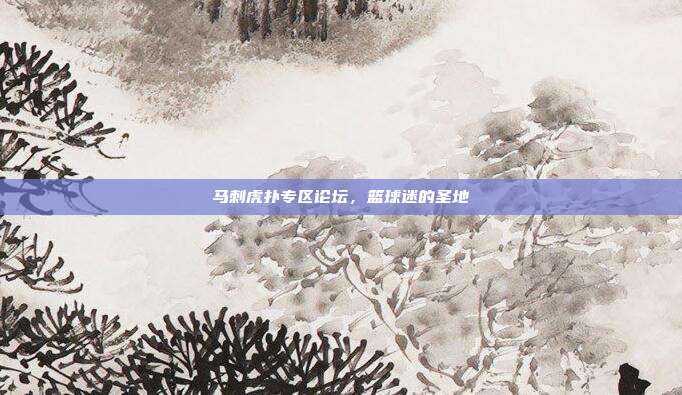 马刺虎扑专区论坛，篮球迷的圣地