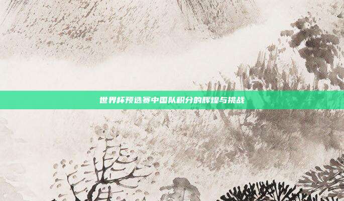 世界杯预选赛中国队积分的辉煌与挑战