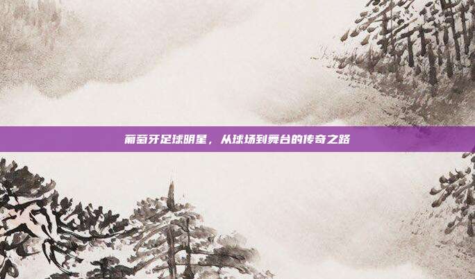 葡萄牙足球明星，从球场到舞台的传奇之路
