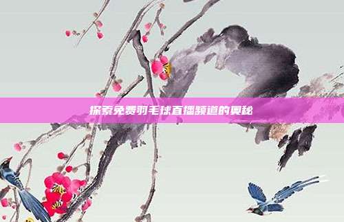 探索免费羽毛球直播频道的奥秘