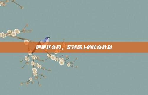 阿根廷夺冠，足球场上的传奇胜利