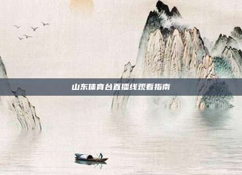 山东体育台直播线观看指南