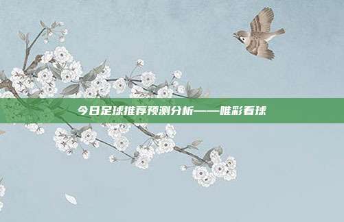 今日足球推荐预测分析——唯彩看球