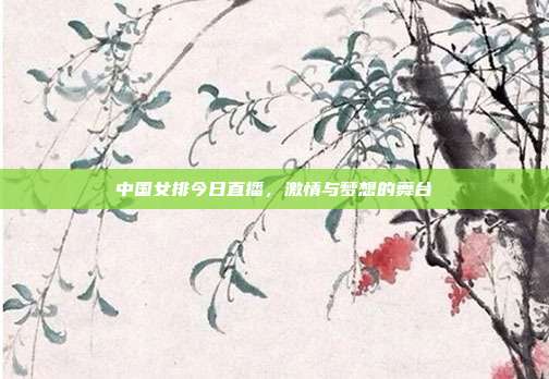 中国女排今日直播，激情与梦想的舞台