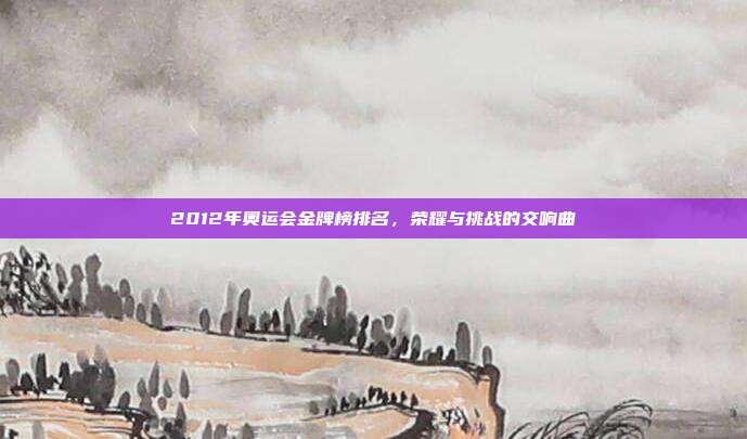 2012年奥运会金牌榜排名，荣耀与挑战的交响曲