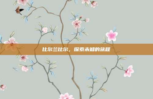 比尔兰比尔，探索未知的旅程