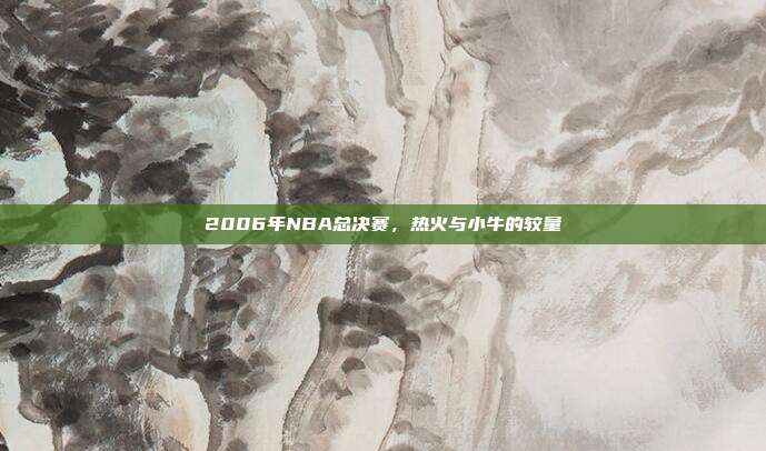 2006年NBA总决赛,热火与小牛的较量