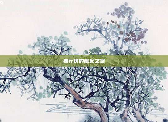 独行侠的崛起之路