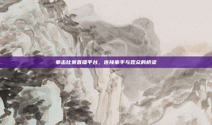 拳击比赛直播平台,连接拳手与观众的桥梁