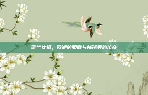荷兰女排,欧洲的骄傲与排球界的传奇