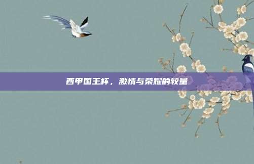 西甲国王杯,激情与荣耀的较量