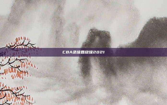CBA录像回放像2021