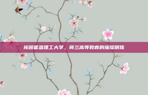 埃因霍温理工大学，荷兰高等教育的璀璨明珠