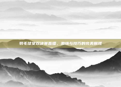 羽毛球女双决赛直播,激情与技巧的完美展现