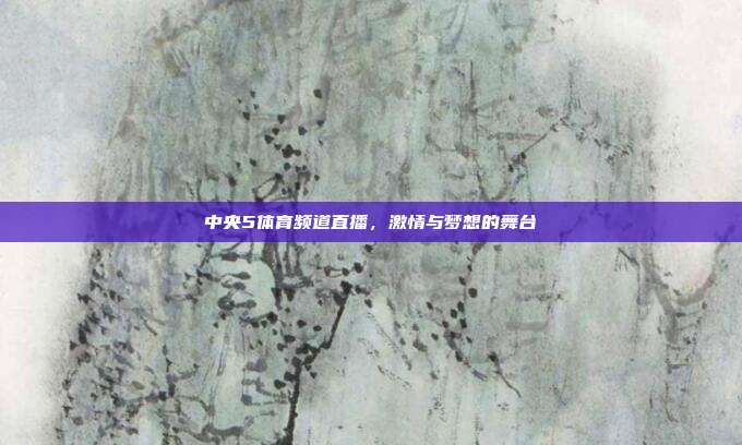 中央5体育频道直播，激情与梦想的舞台