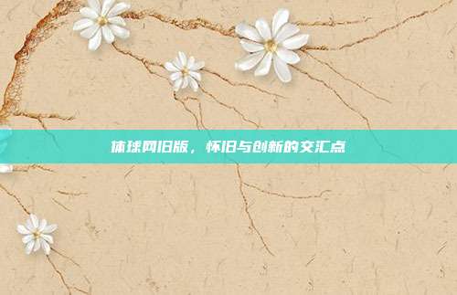 体球网旧版，怀旧与创新的交汇点