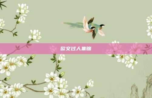 欧文过人集锦