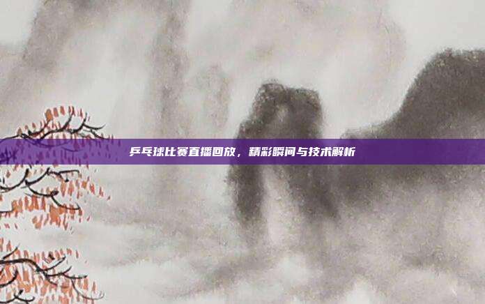 乒乓球比赛直播回放,精彩瞬间与技术解析