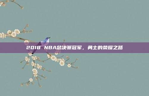 2018 NBA总决赛冠军,勇士的荣耀之路