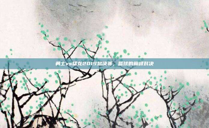 勇士vs猛龙2019总决赛,篮球的巅峰对决