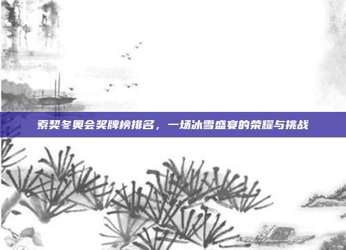 索契冬奥会奖牌榜排名,一场冰雪盛宴的荣耀与挑战