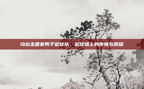 乌拉圭国家男子足球队,足球场上的传奇与荣耀