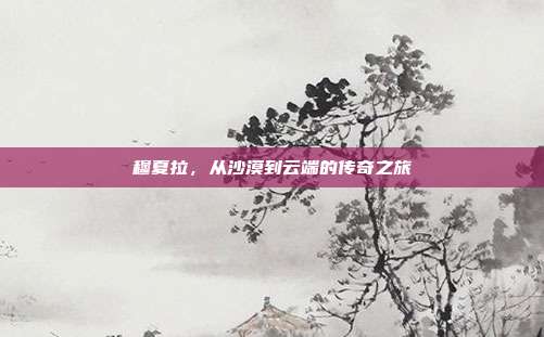 穆夏拉,从沙漠到云端的传奇之旅