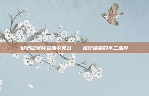 欧洲冠军杯直播中央台——足球盛宴的不二选择