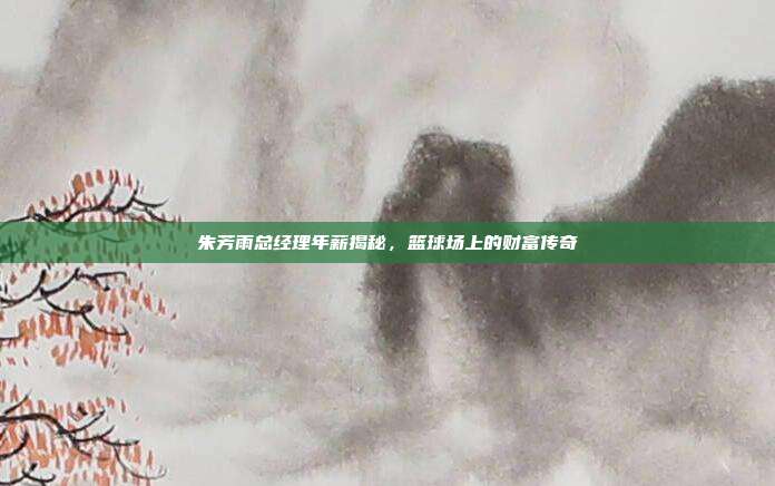 朱芳雨总经理年薪揭秘，篮球场上的财富传奇