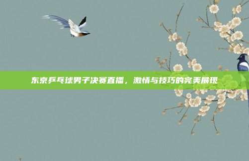 东京乒乓球男子决赛直播，激情与技巧的完美展现