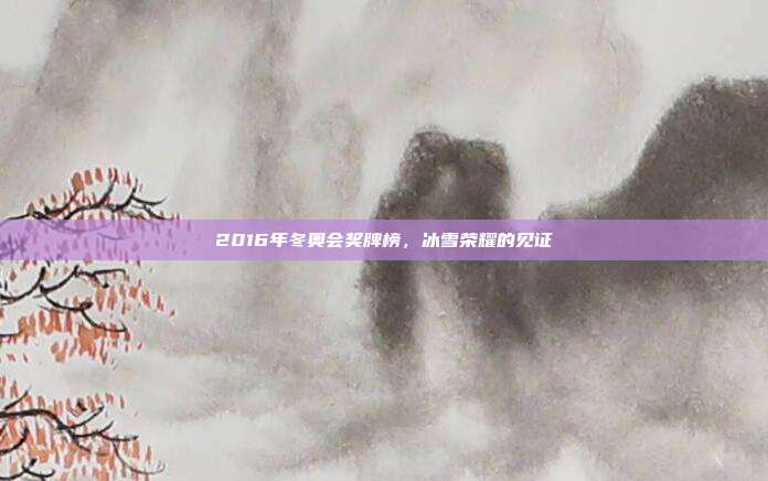 2016年冬奥会奖牌榜，冰雪荣耀的见证