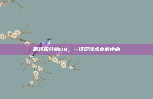 葡超积分榜DS，一场足球盛宴的序曲