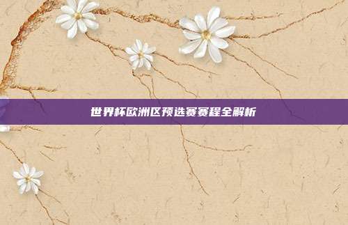 世界杯欧洲区预选赛赛程全解析