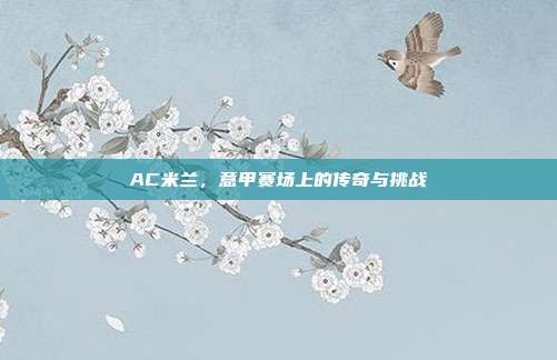 AC米兰,意甲赛场上的传奇与挑战